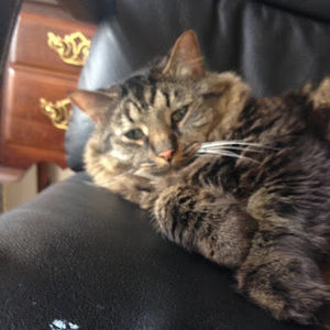 Meet your Posher, Haley